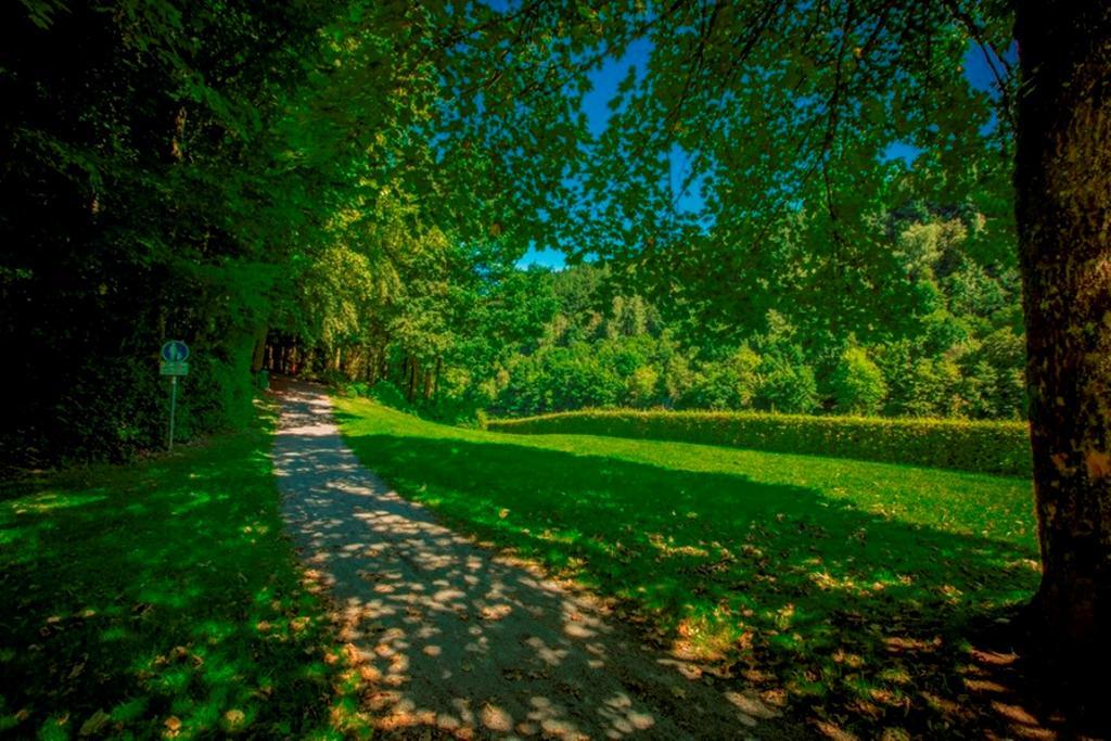 Feriendomizil Haus Am See Biersdorf Exteriér fotografie